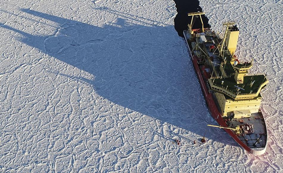 Das âDrachenhauteisâ wurde von Forschern an Bord des Nathaniel B Palmer Forschungsschiffs entdeckt. Die gegenwÃ¤rtige Reise begann Anfang April, nachdem sich die meisten anderen Antarktis-Expeditionen bereits in wÃ¤rmere Gebiete zurÃ¼ckgezogen haben. (Bild: IMAS)